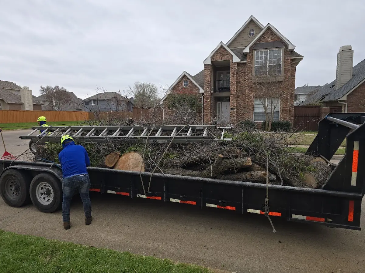 Expert Lot Clearing with proper safety equipment in Pratt